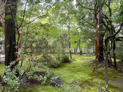 蓮華寺（洛北蓮華寺）(京都府)