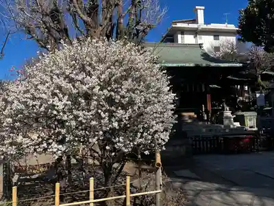 五條天神社(東京都)