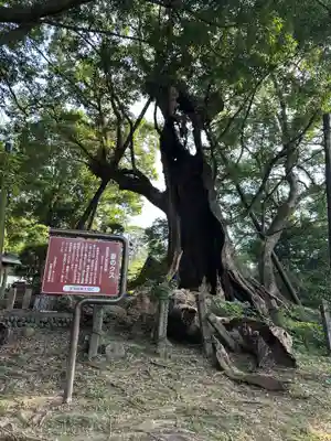 都萬神社(宮崎県)