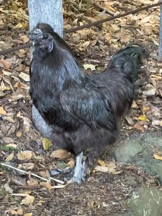 熱田神宮(愛知県)