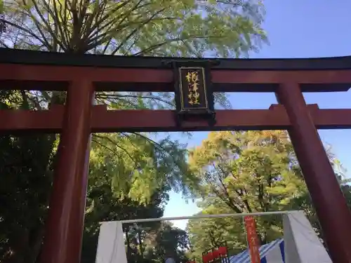 根津神社の鳥居