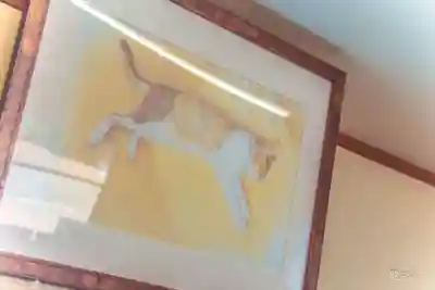 羽生天神社(宮城県)