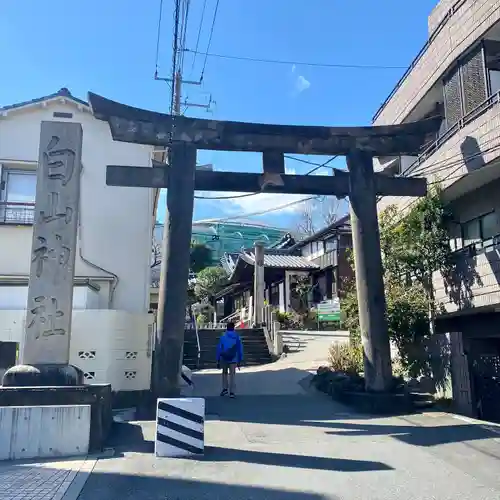 白山神社(東京都)