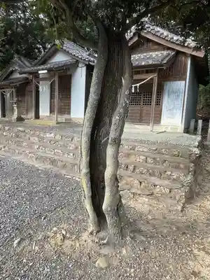 大岩神明宮の自然