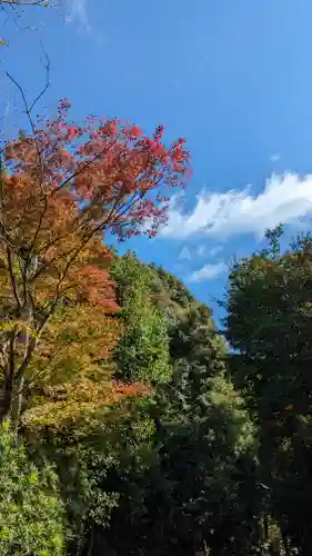 松ヶ崎大黒天 妙圓寺（妙円寺）(京都府)