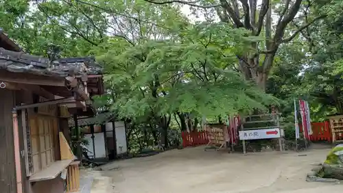 天開稲荷社の庭園