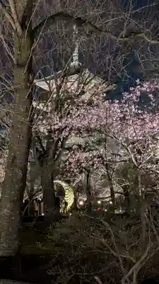 東寺（教王護国寺）(京都府)