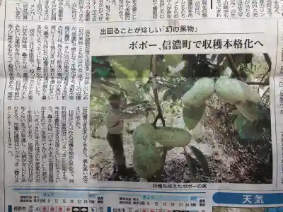 国宝 大法寺(長野県)