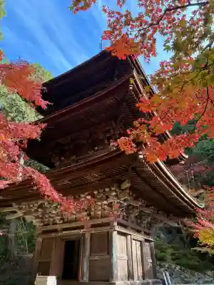金剛輪寺の{uncategorized: "未分類", other: "その他", undefined: "問題あり", building: "その他建物", grave: "お墓", sacred_gate: "鳥居", guardian: "狛犬", statue: "像", buddha: "仏像", history: "歴史", nature: "自然", garden: "庭園", animal: "動物", pagoda: "塔", temizu: "手水舎", mountain_gate: "山門・神門", sanctuary: "本殿・本堂", subordinate: "末社・摂社", art: "芸術", scenery: "景色", jizo: "地蔵", ema: "絵馬", goshuin: "御朱印", omikuji: "おみくじ", items: "授与品その他", amulet: "お守り", goshuincho: "御朱印帳", eats: "食事", festival: "お祭り", votive_dance: "神楽", shichigosan: "七五三参", wedding: "結婚式", experience: "体験その他", initially: "初詣", around: "周辺", anti_infection: "感染症対策"}
