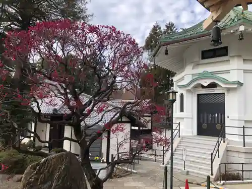 豪徳寺(東京都)