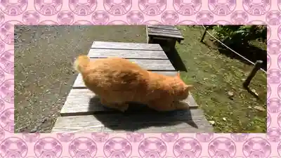 小松寺(千葉県)