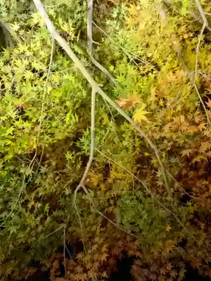 平等院(京都府)