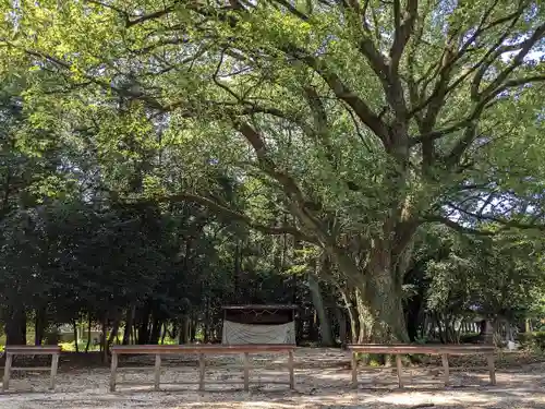 伊多波刀神社(愛知県)