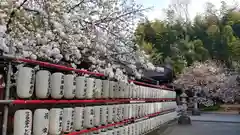 平野神社の建物その他