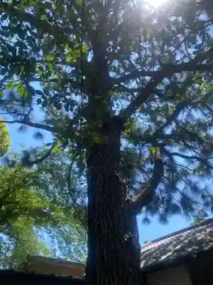 前原御嶽神社(千葉県)
