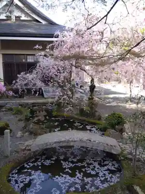 慈眼寺(京都府)