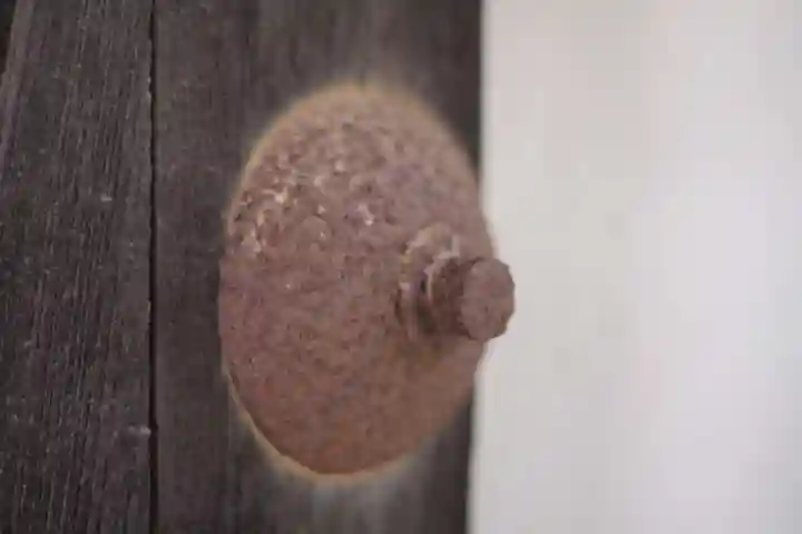 大藏經寺のその他建物