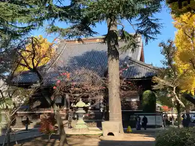寛永寺(根本中堂)(東京都)