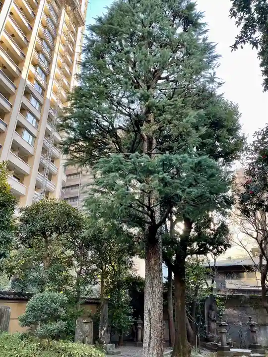 天徳寺(東京都)