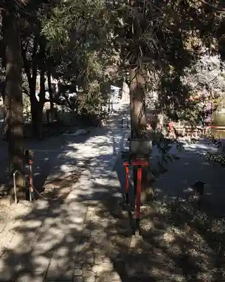 間々田八幡宮(栃木県)