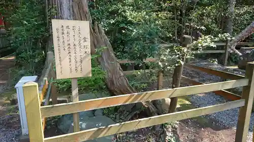 鹿島神宮の自然