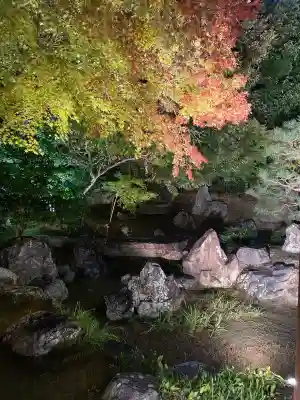 圓徳院(京都府)