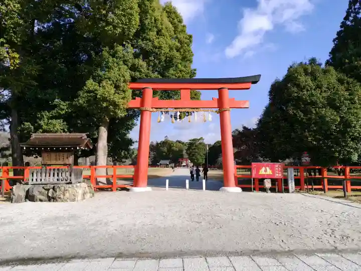 賀茂別雷神社(上賀茂神社)の{uncategorized: "未分類", other: "その他", undefined: "問題あり", building: "その他建物", grave: "お墓", sacred_gate: "鳥居", guardian: "狛犬", statue: "像", buddha: "仏像", history: "歴史", nature: "自然", garden: "庭園", animal: "動物", pagoda: "塔", temizu: "手水舎", mountain_gate: "山門・神門", sanctuary: "本殿・本堂", subordinate: "末社・摂社", art: "芸術", scenery: "景色", jizo: "地蔵", ema: "絵馬", goshuin: "御朱印", omikuji: "おみくじ", items: "授与品その他", amulet: "お守り", goshuincho: "御朱印帳", eats: "食事", festival: "お祭り", votive_dance: "神楽", shichigosan: "七五三参", wedding: "結婚式", experience: "体験その他", initially: "初詣", around: "周辺", anti_infection: "感染症対策"}