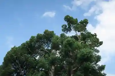 玉田神社(京都府)