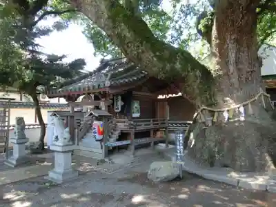 大神社の自然