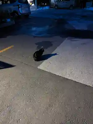 櫻山神社(岩手県)