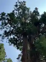 熊野神社(岐阜県)