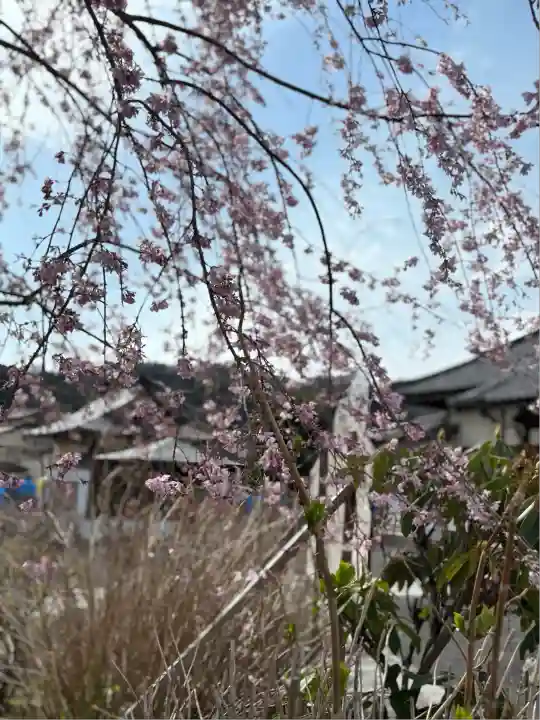 松源寺(群馬県)