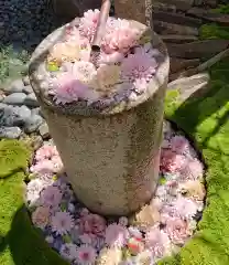 行田八幡神社の手水