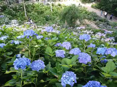 二本松寺(茨城県)