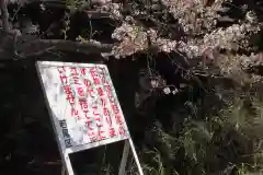 子之神社の建物その他