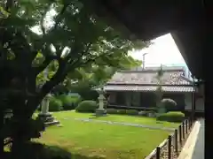 源光庵の庭園