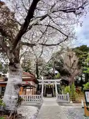 岩槻愛宕神社(埼玉県)