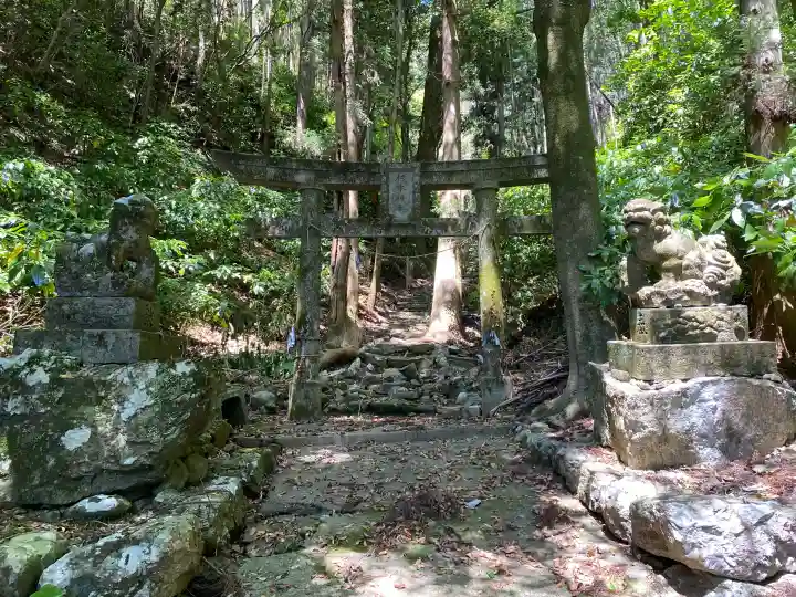 杉本神社の{uncategorized: "未分類", other: "その他", undefined: "問題あり", building: "その他建物", grave: "お墓", sacred_gate: "鳥居", guardian: "狛犬", statue: "像", buddha: "仏像", history: "歴史", nature: "自然", garden: "庭園", animal: "動物", pagoda: "塔", temizu: "手水舎", mountain_gate: "山門・神門", sanctuary: "本殿・本堂", subordinate: "末社・摂社", art: "芸術", scenery: "景色", jizo: "地蔵", ema: "絵馬", goshuin: "御朱印", omikuji: "おみくじ", items: "授与品その他", amulet: "お守り", goshuincho: "御朱印帳", eats: "食事", festival: "お祭り", votive_dance: "神楽", shichigosan: "七五三参", wedding: "結婚式", experience: "体験その他", initially: "初詣", around: "周辺", anti_infection: "感染症対策"}