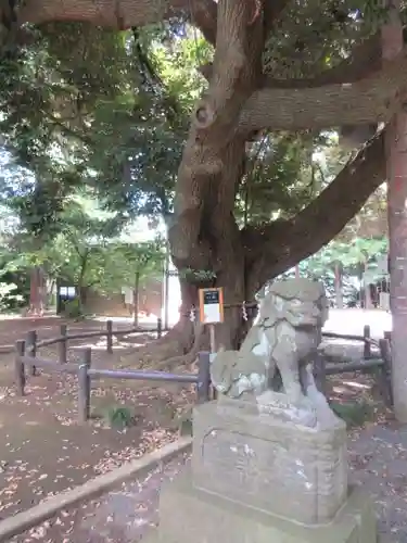 諏訪神社の狛犬