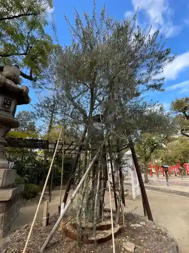湊川神社(兵庫県)