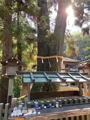 大神神社(奈良県)