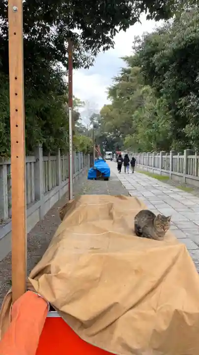 和泉國一之宮 大鳥大社の動物