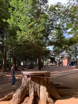 愛宕神社(茨城県)