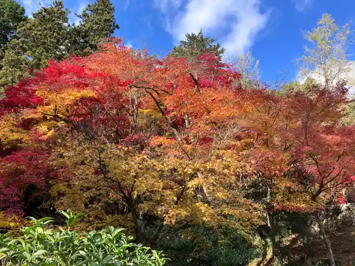 大国寺(兵庫県)