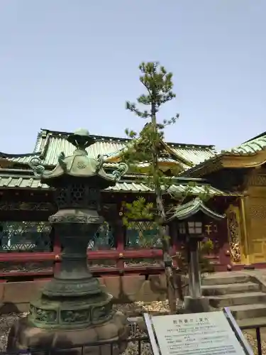 上野東照宮(東京都)