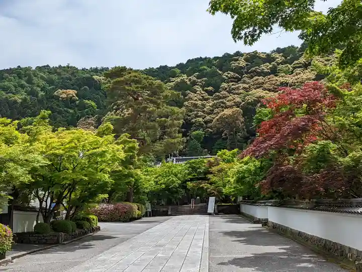 禅林寺(永観堂)(京都府)