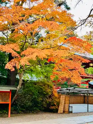 香取神宮(千葉県)