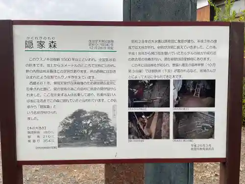 隠家の森(福岡県)