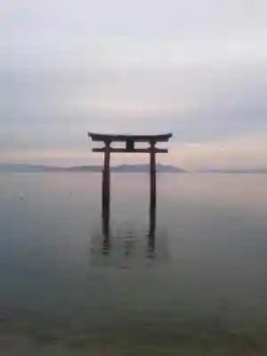 白鬚神社の鳥居