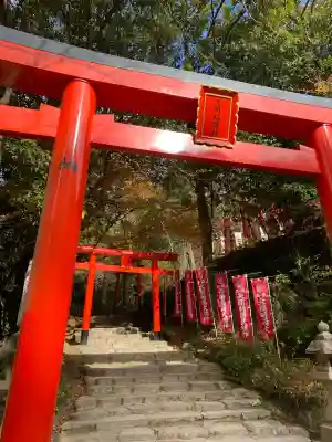 天開稲荷社の鳥居